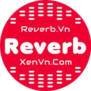 Reverb.Vn