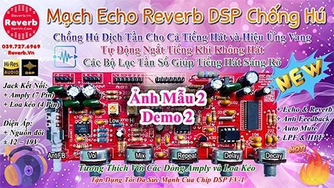 Mạch Echo Reverb DSP - 2